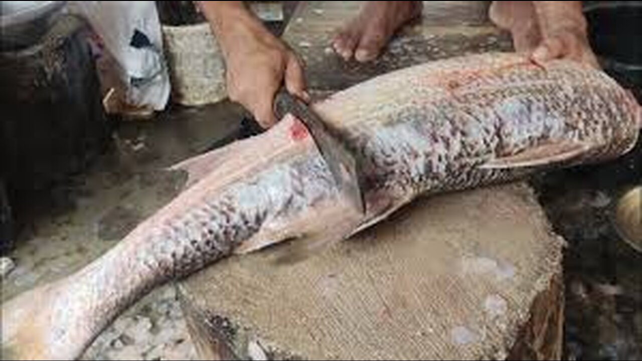 Big BLACK POMFRET Fish Cutting Skills _ Fish Cutting Skills