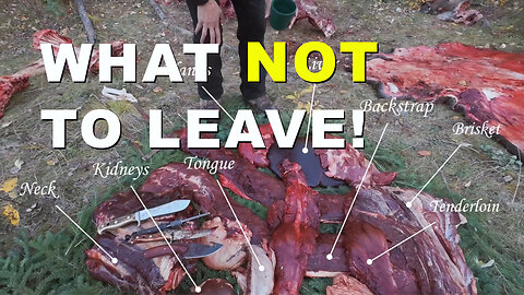 Moose Parts To NOT Leave Behind!