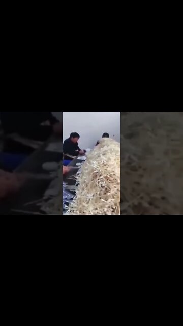 PCR tests being made in a sanitary facility wink wink 😉