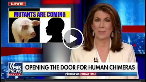 PROOF ⚠️ Hybrid Genetics.