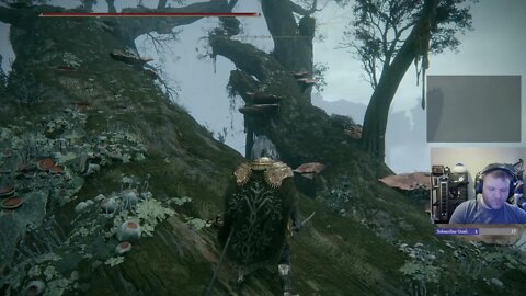 Wandering Samurai Exploring the Halig Tree!