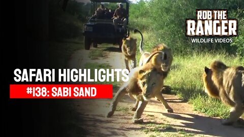 Safari Highlights #138: 31 Mar - 02 Apr 2012 | Sabi Sand Nature Reserve | Latest Wildlife Sightings