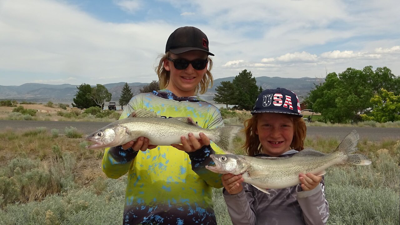 Walleye fishing at Yuba State Park UT 2021 Walleye, Wipers and Perch fishing trolling bottom walkers