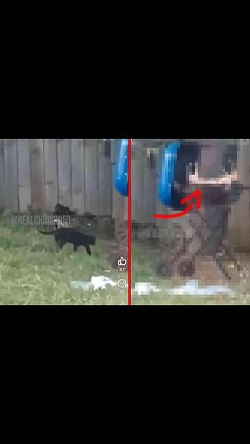 Will Democrats admit the truth?