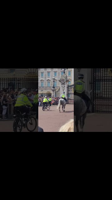 police outside buckingham palace