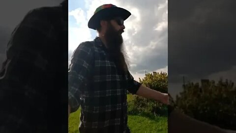 #skitsbystrangedanimal