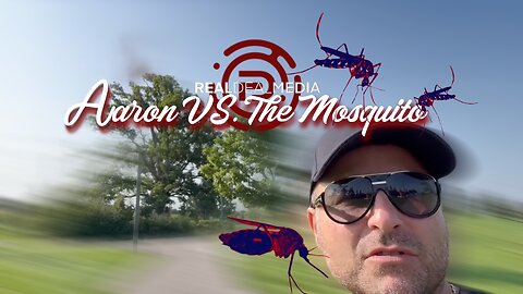 Aaron Kates VS The Mosquitos