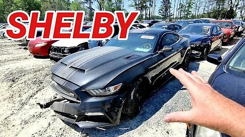 Shelby 50th Anniversary Carol Shelby Edition at Copart