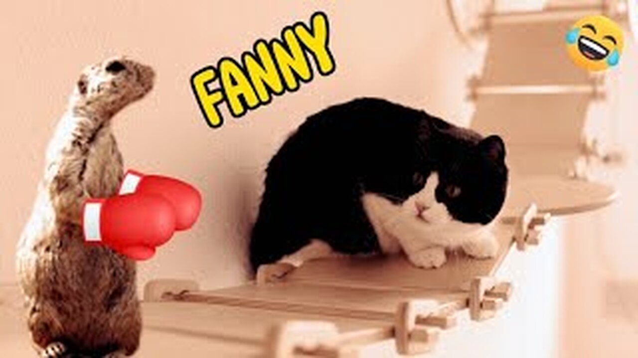 Funny Cats π and Dogs π / Funniest Animals Videos π