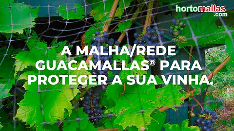 A malha/rede GUACAMALLAS® para proteger a sua vinha.