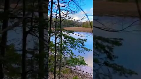 Beautiful trail right by the water