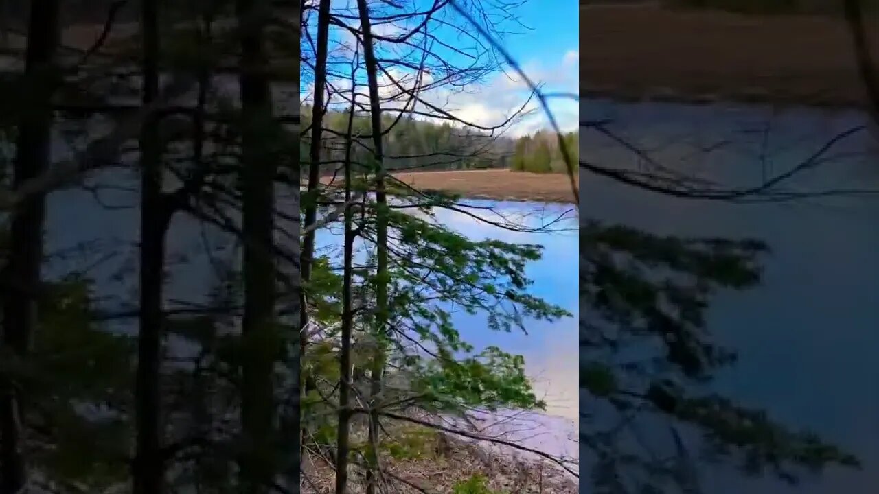 Beautiful trail right by the water