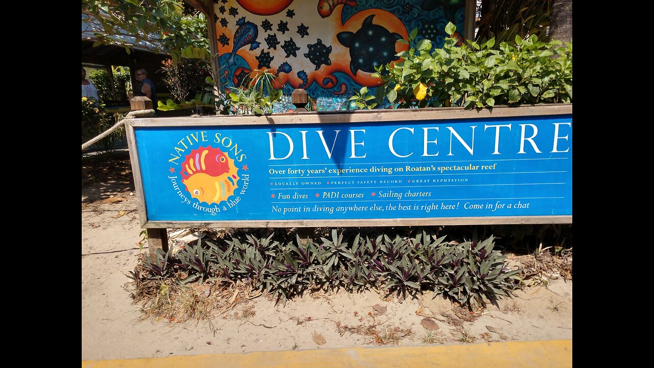 Native Sons Dive shop ,Roatan, Mahogany Bay 05-08-2019