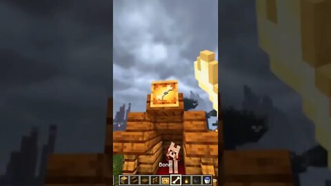 Minecraft #tiktok #Shorts