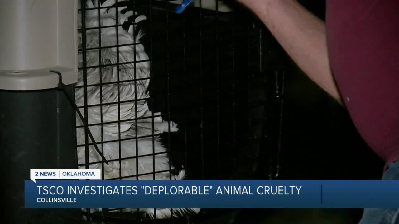 TCSO Investigates Deplorable Animal Cruelty