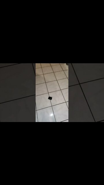 found wallet metal detecting #shorts