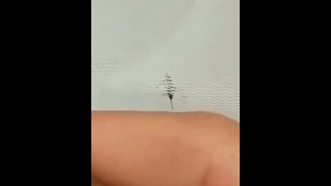 Torturing the mosquito😊
