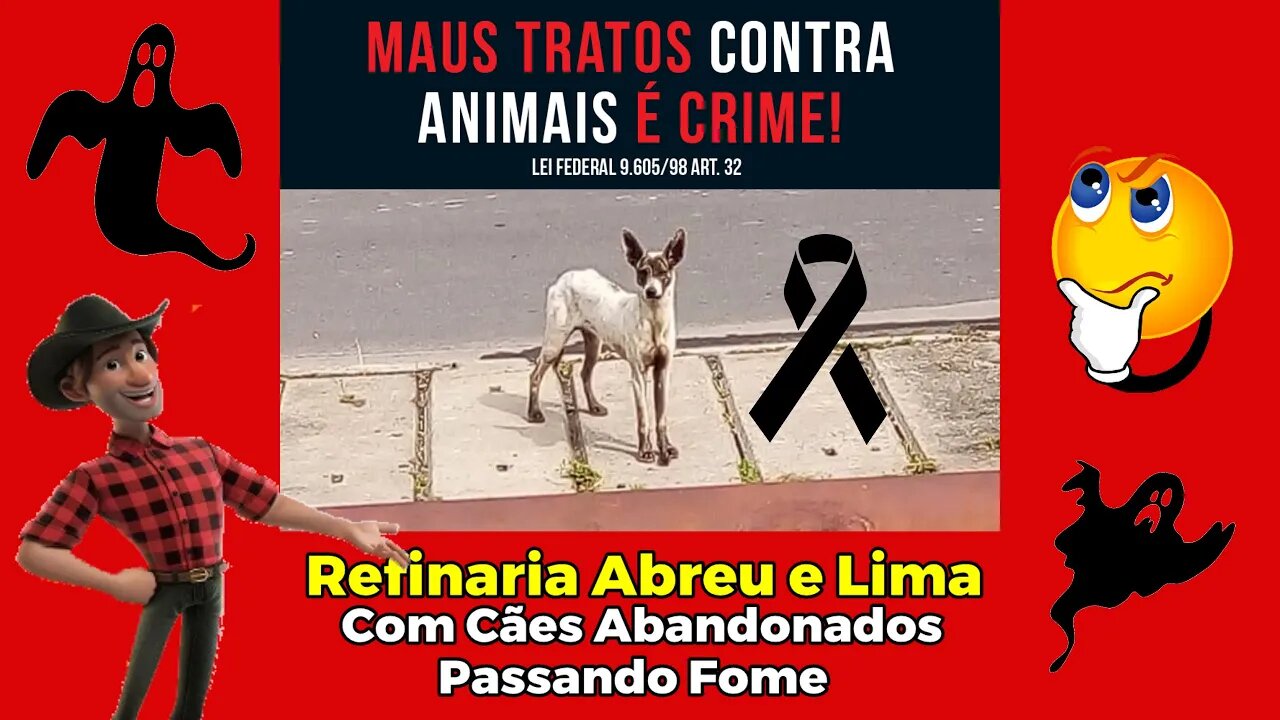 DenĂșncia de Abusos e Maus Tratos a Animais na Refinaria Abreu e Lima, PE
