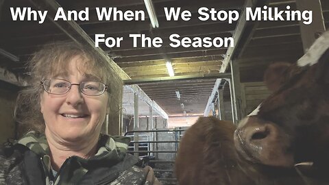 The Honest Truth About Stop Milking: Healthy Cows and Happy Humans