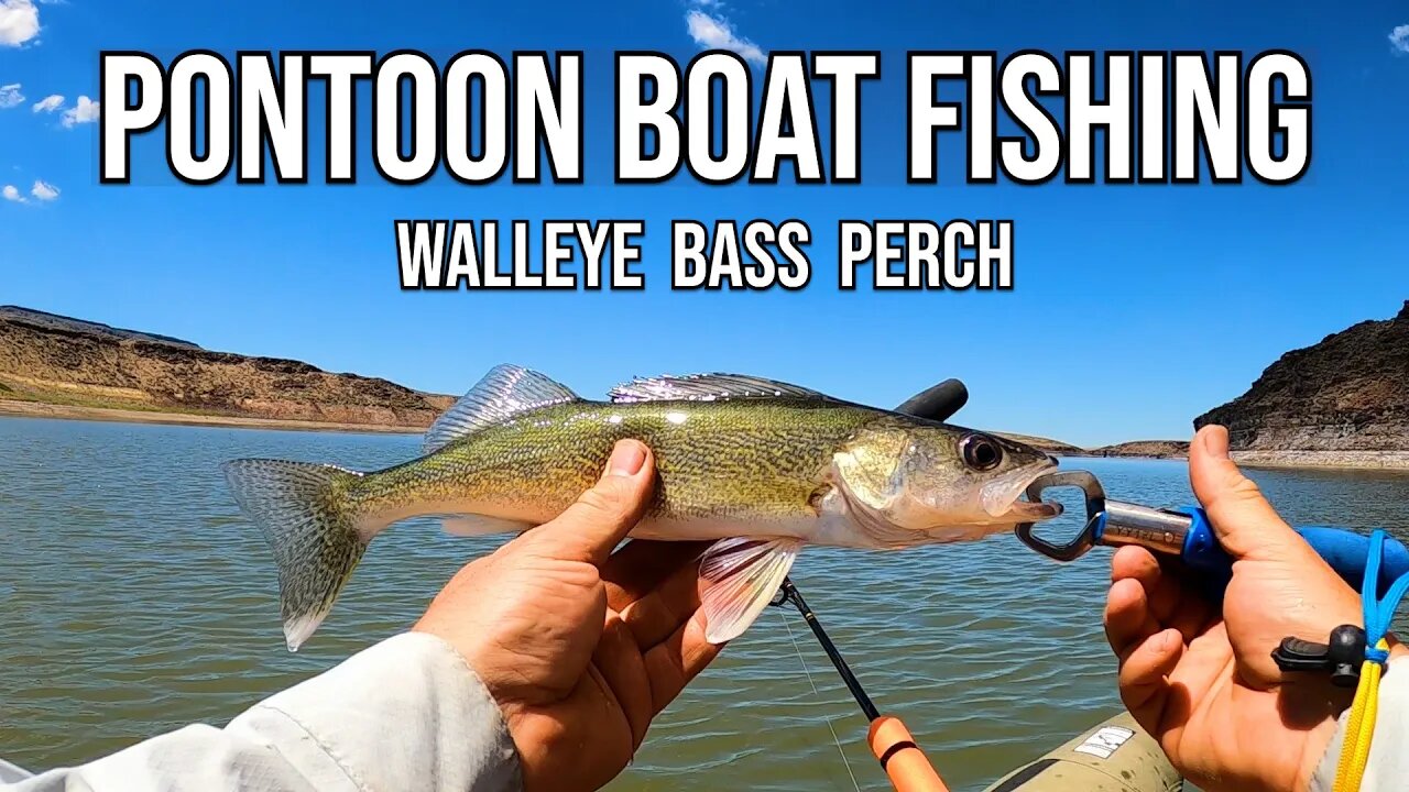 Pontoon Boat Fishing for Walleye, Bass, and Perch | Colorado XT