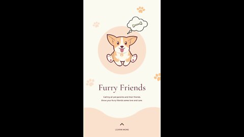 Funny animal videos... dogs and cats: Our best buddies