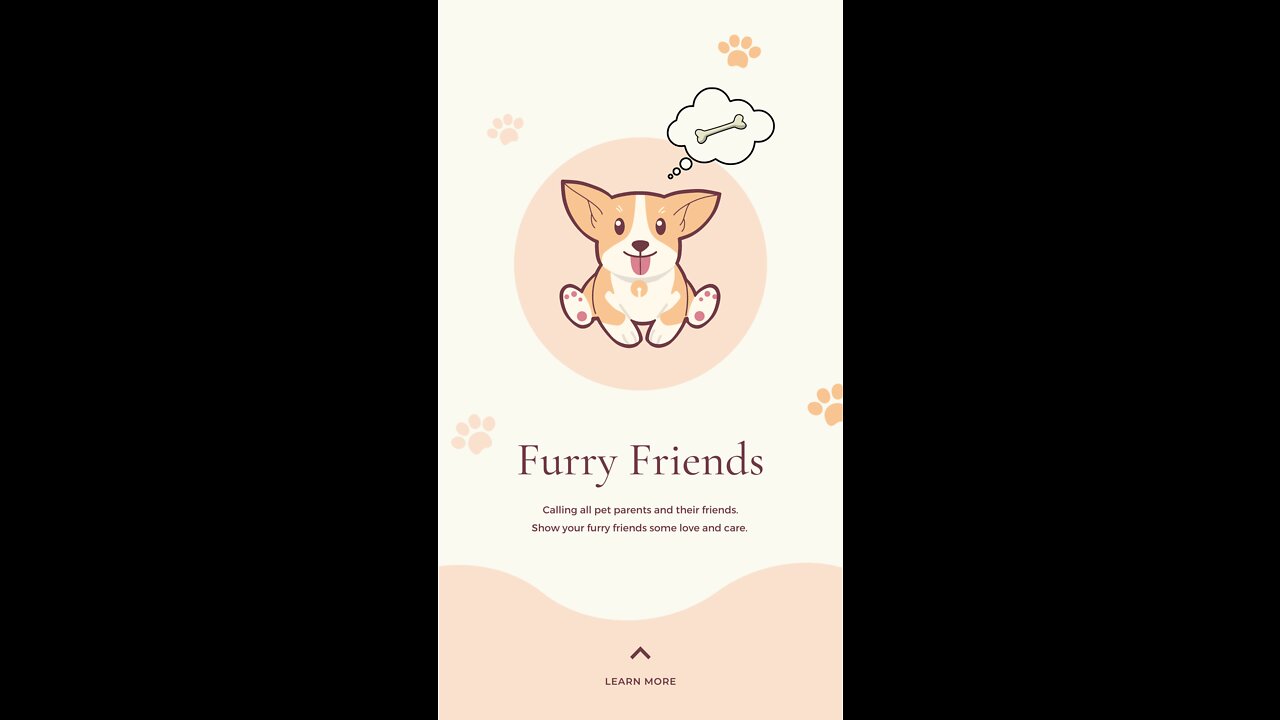 Funny animal videos... dogs and cats: Our best buddies