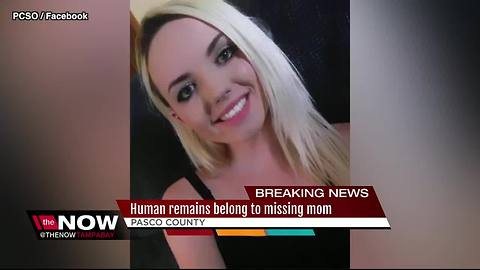 Human remains match missing Hudson mother