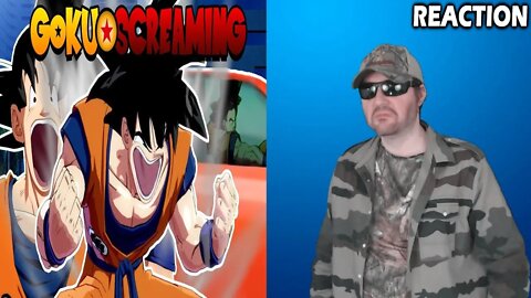 Goku Screaming: Goku's Day Out (MetalKingBoo) REACTION!!! (BBT)