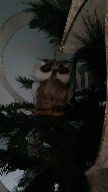 Owl ornament