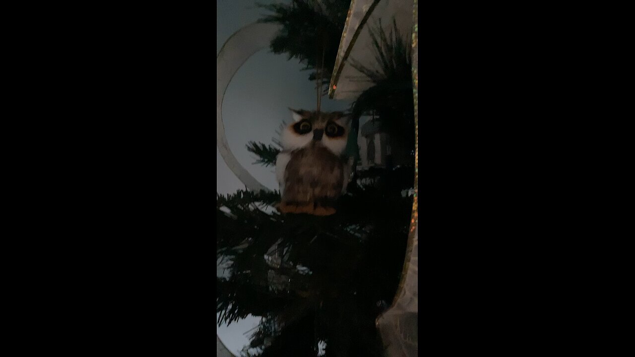 Owl ornament