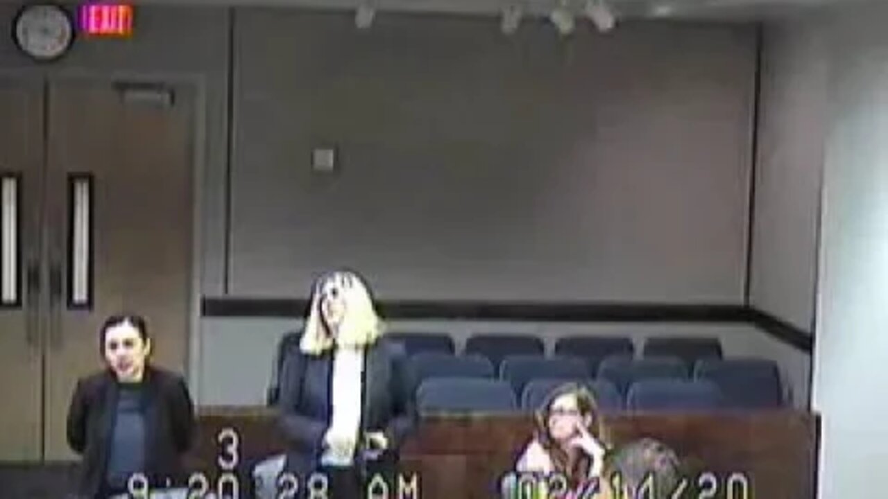 Colt before Clark County Family Court Judge Cheryl Moss