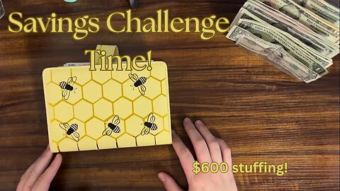 Savings Challenges! Making a $300 debt payment!