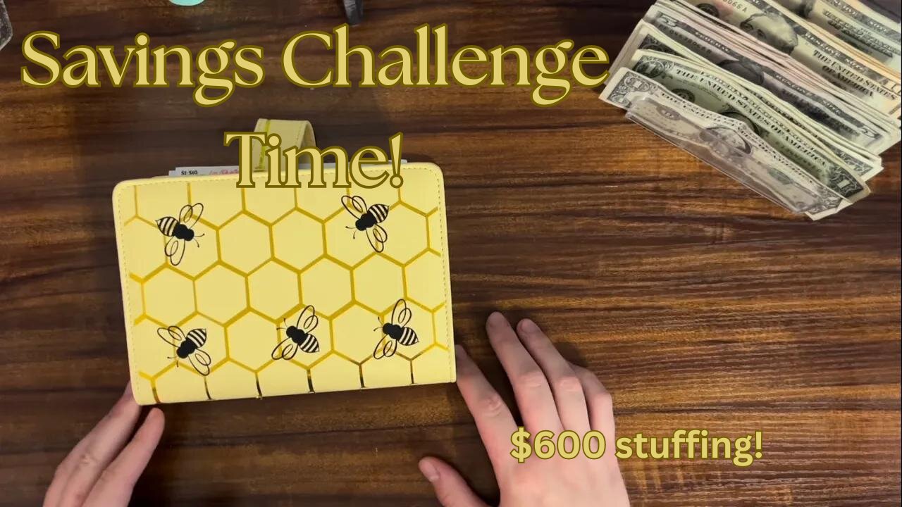 Savings Challenges! Making a $300 debt payment!