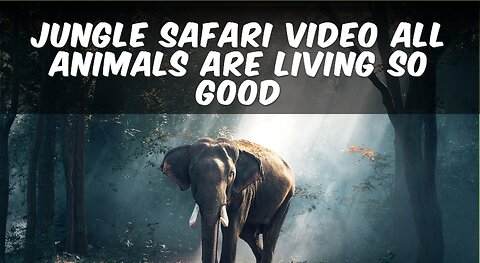 Jungle Safari Video All Animals are Living so Good