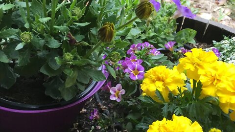 Saturday Projects™.com | Mother's Day Flower Barrel
