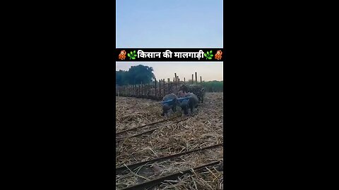 Kisan ke malgadi #malgadi #new #today #viral #trending #kisan #viralreels #trendingreels #videos