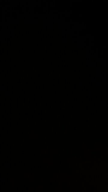 The Left hates the USA 🇺🇸