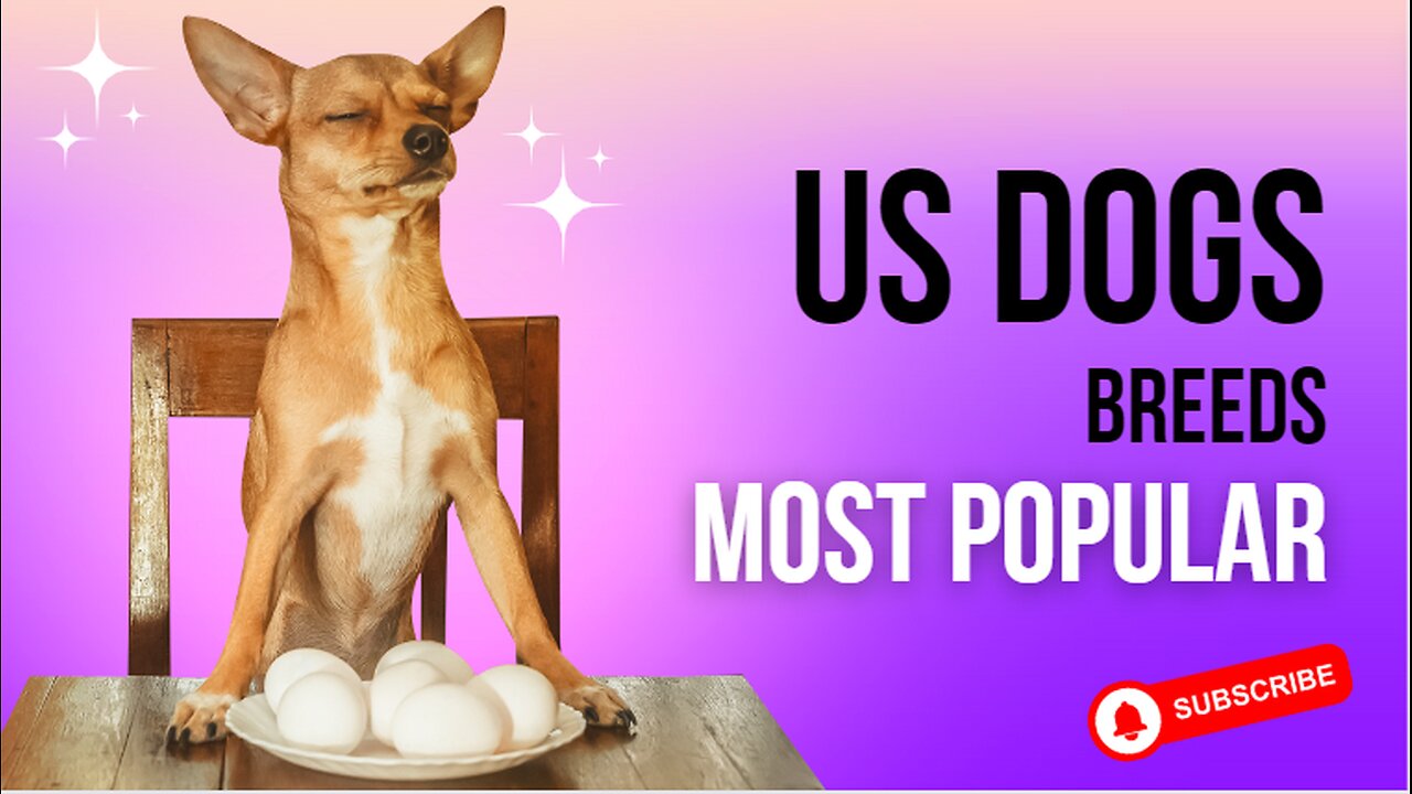 popular US dog’s breeds