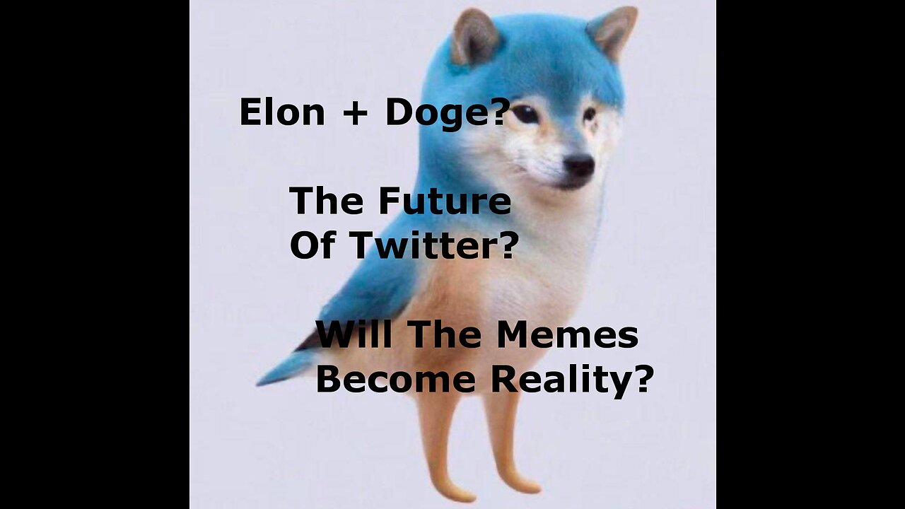 Elon + Doge? The Future of Twitter: Will the Memes Become Reality?