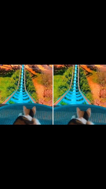 FUNNIEST CATS VIDEOS - best funny animals videos 2023