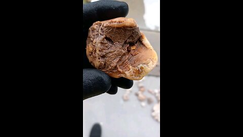 Broken nodule!