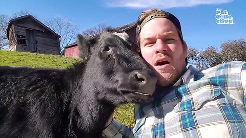 Pet animals on the farm