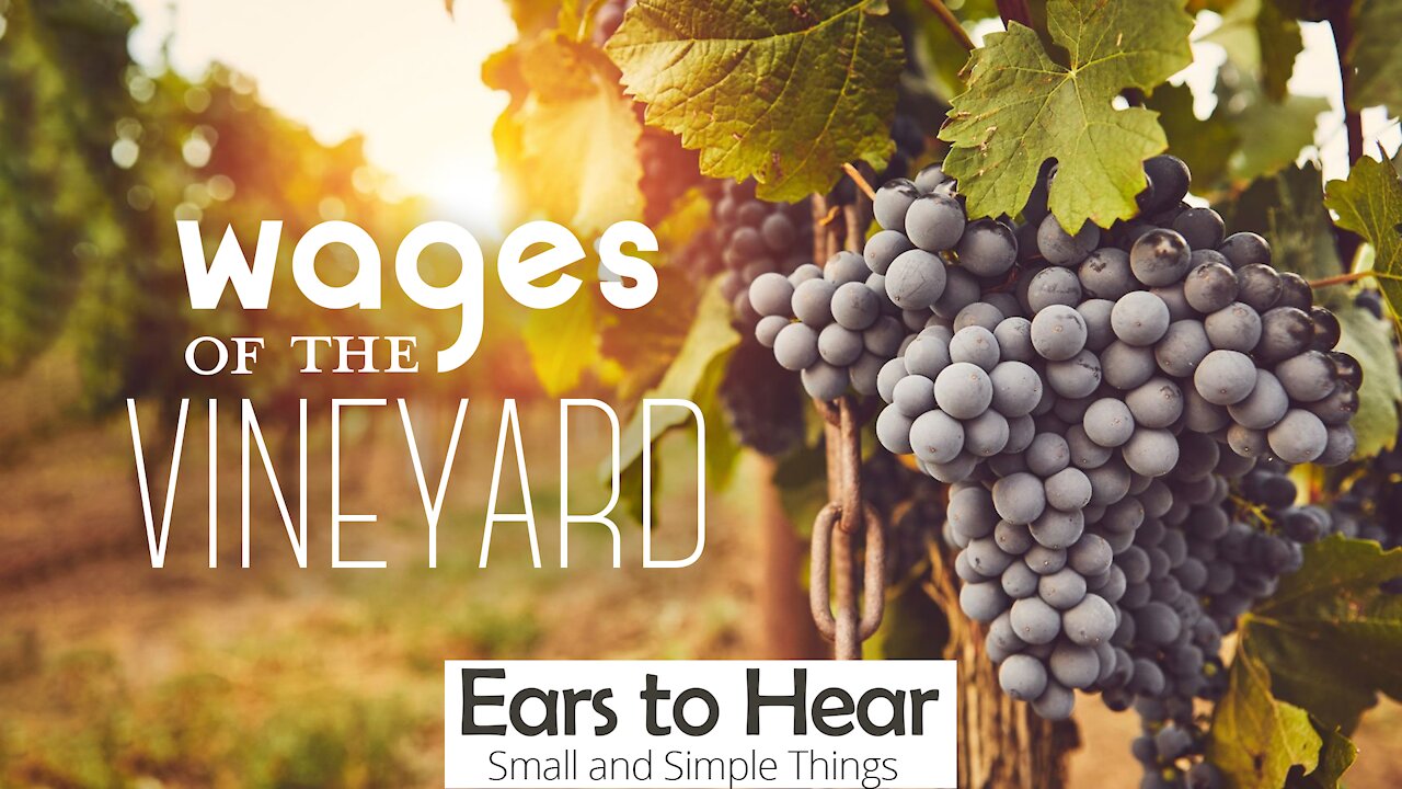 Small and Simple Things 27 - Wages of the Vineyard