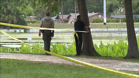 47-year-old man killed in suspected gator attack in Largo