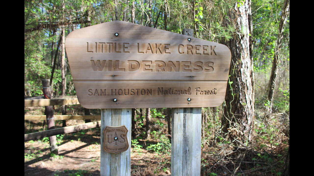 National Forest, Wilderness Texas