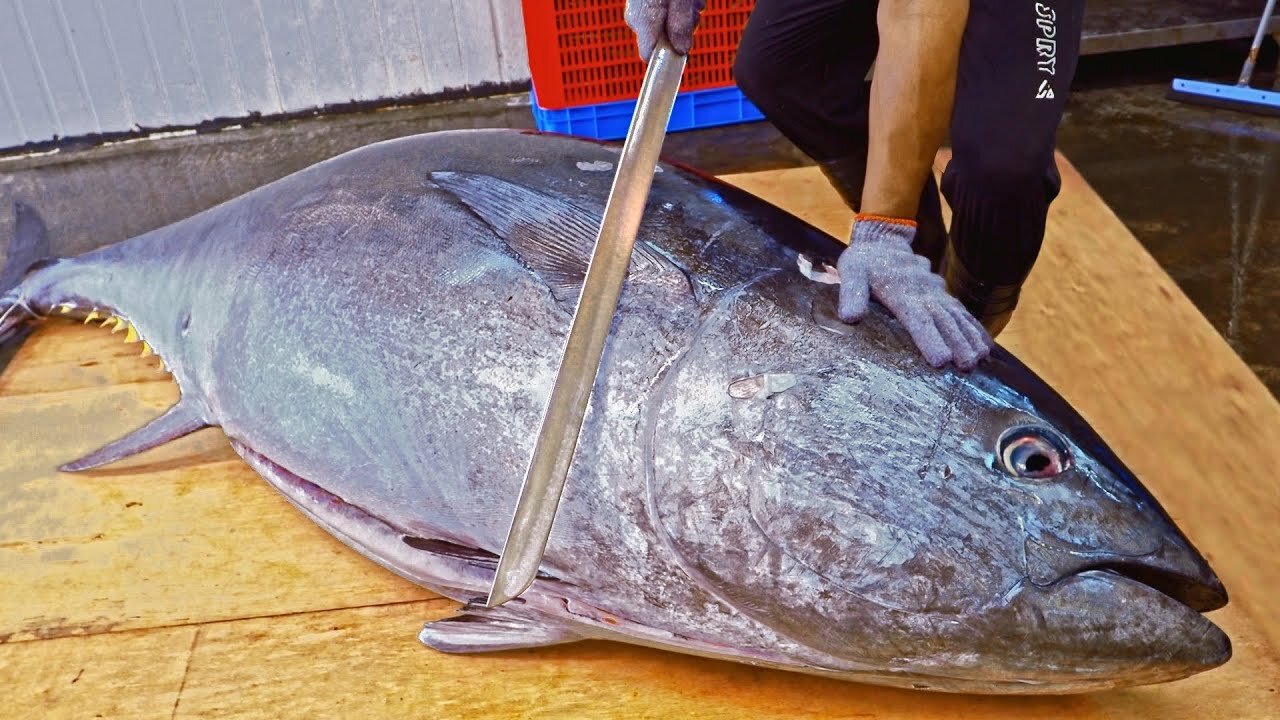 World's Sharpest Tuna Knife！Amazing Giant bluefin tuna cutting Master