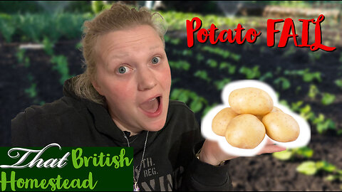 Potato Order GONE WRONG!: Allotment Garden