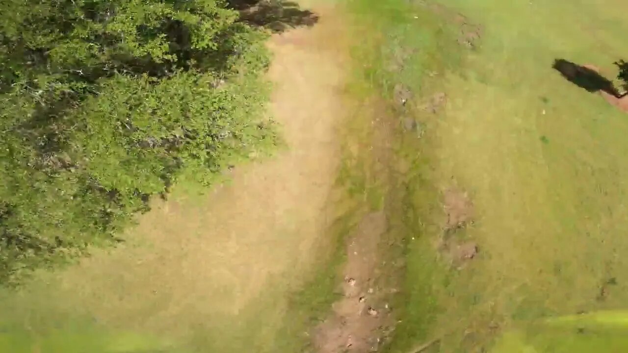 06/13/22 Helping out get somebody's dogs a little exercise. FPV