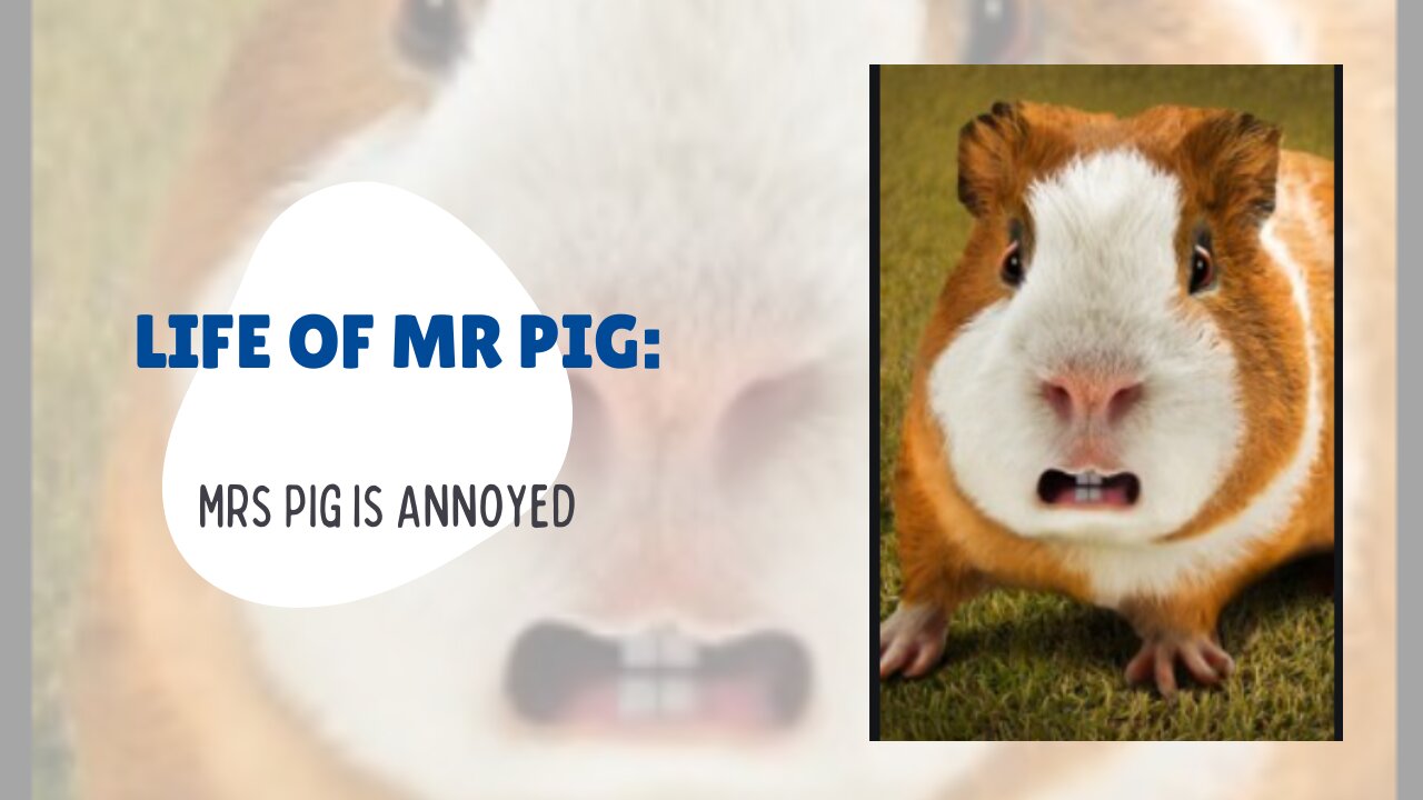 Life of Mr Pig: Ep.2 Mrs. Pig is annoyed