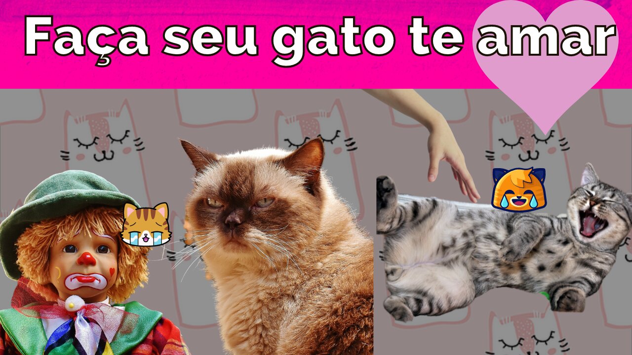 10 maneiras científicas de fazer um gato gostar de você